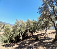 Sıcak Fırsat