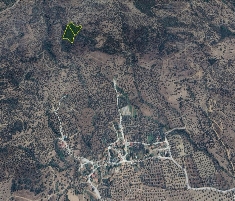 Bayındır Karahalilli Köyünde 11.180m2 Satılık Zeyt... Bayındır Karahalilli Köyünde 11.180m2 Satılık Zeyt...