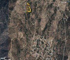 Bayındır Yeşilova 4.891 m2 Satılık Zeytinlik