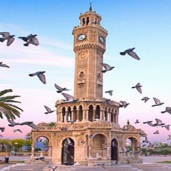 YILDIZ TEMİZEL